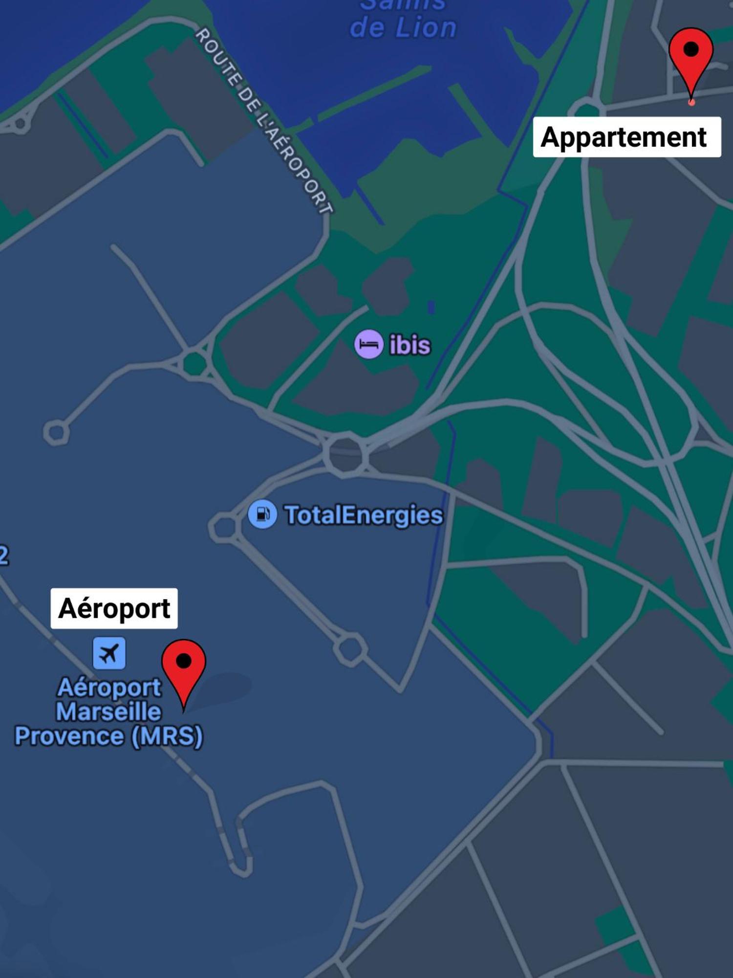 Superbe Appart Avec Jardin A 2 Min De L'Aeroport-4 Pers 비트롤레즈 외부 사진